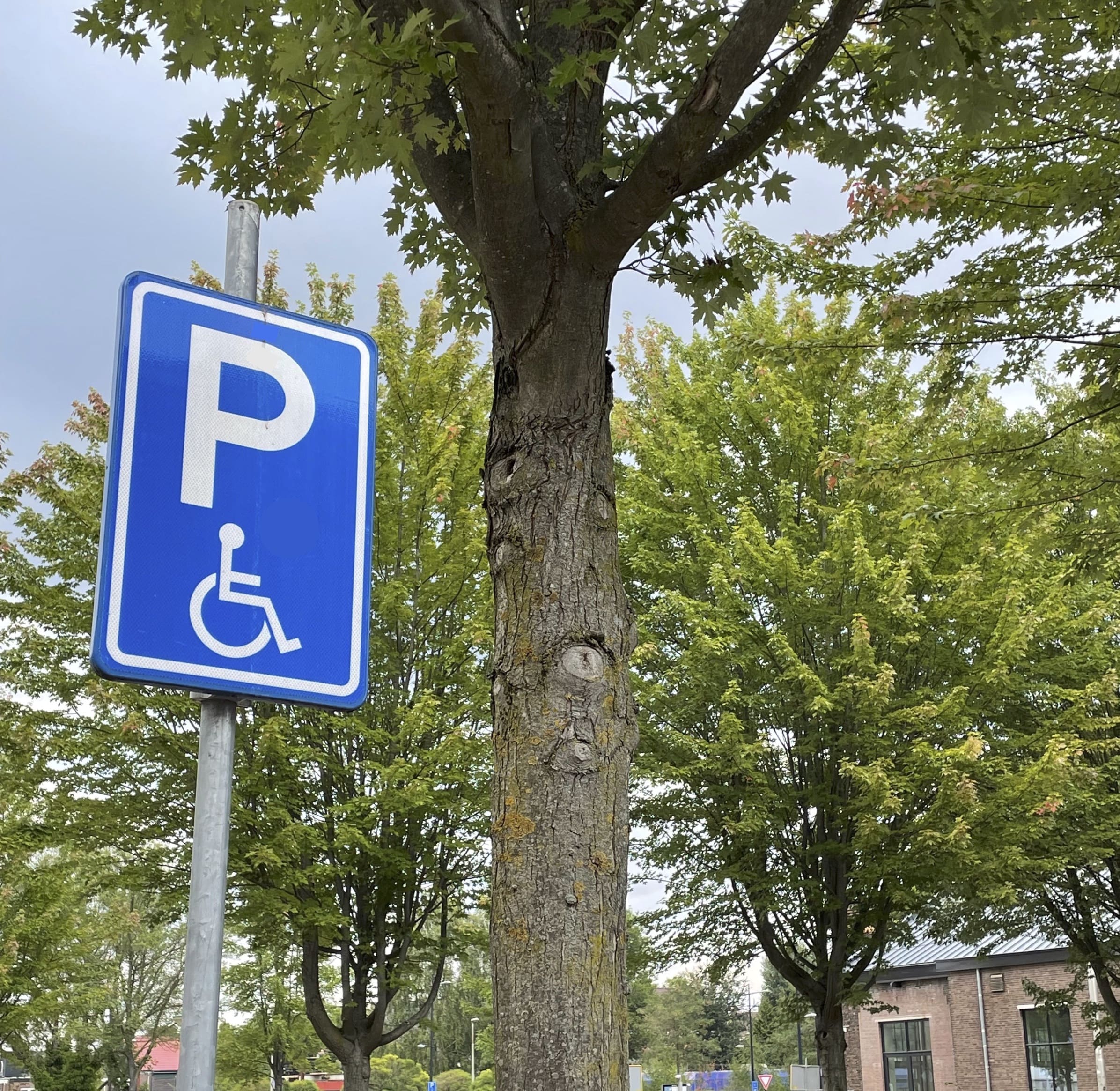 Advies inzake landelijke digitalisering gehandicaptenparkeerkaart